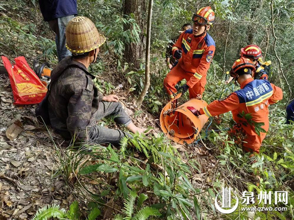 突发！砍树工人山林遇险，消防火速营救，伤者化险为夷