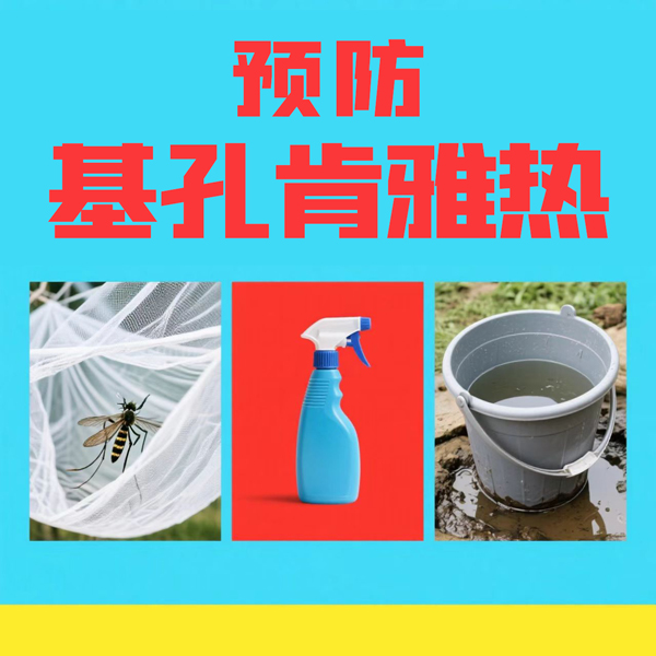 基孔肯雅热病症：认识它，远离它