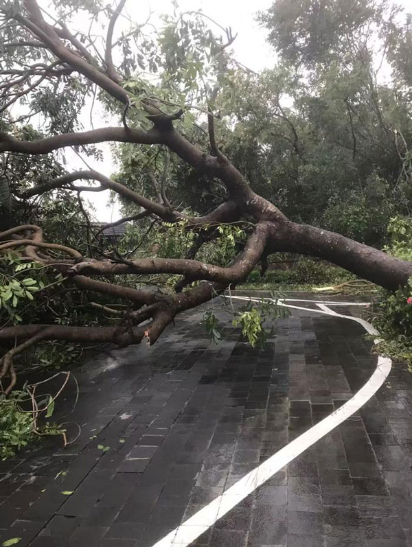 台风“剑鱼”来袭，海南多地遭遇强风暴雨，居民紧急避险